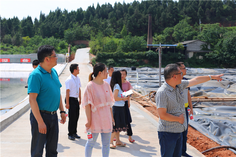 集團(tuán)第一檢查組檢查杰陽排水公司、固廢處置公司安全防汛和環(huán)保達(dá)標(biāo)各項(xiàng)工作3_副本